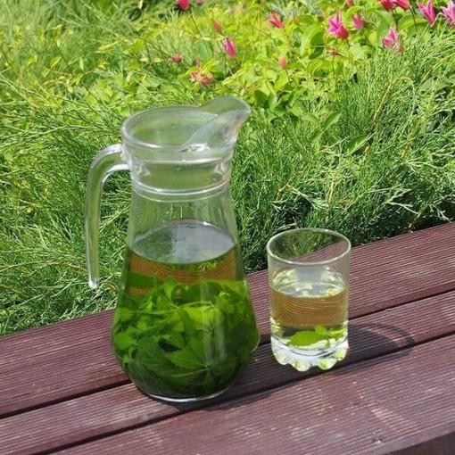 Longevity herb - Jiaogulan Gynostemma P9/C1