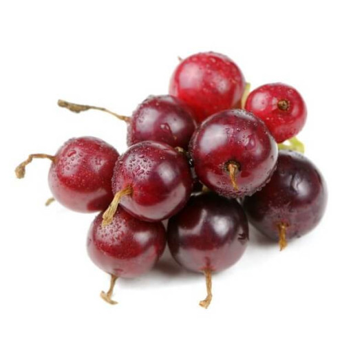 Jostaberry (Ribes x nidigrolaria)