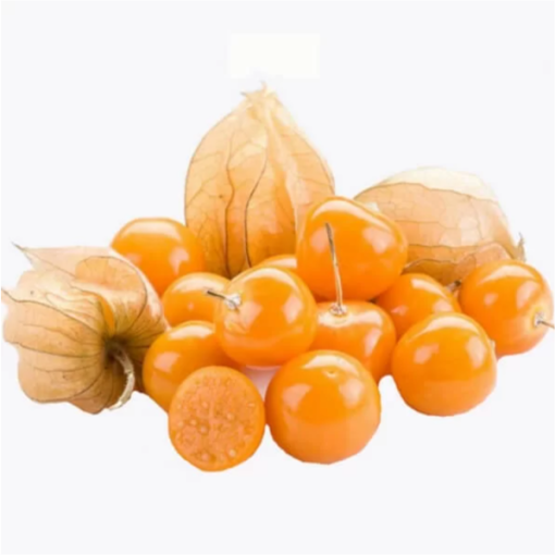 Physalis (Cape Gooseberry / Chinese Lantern) C2